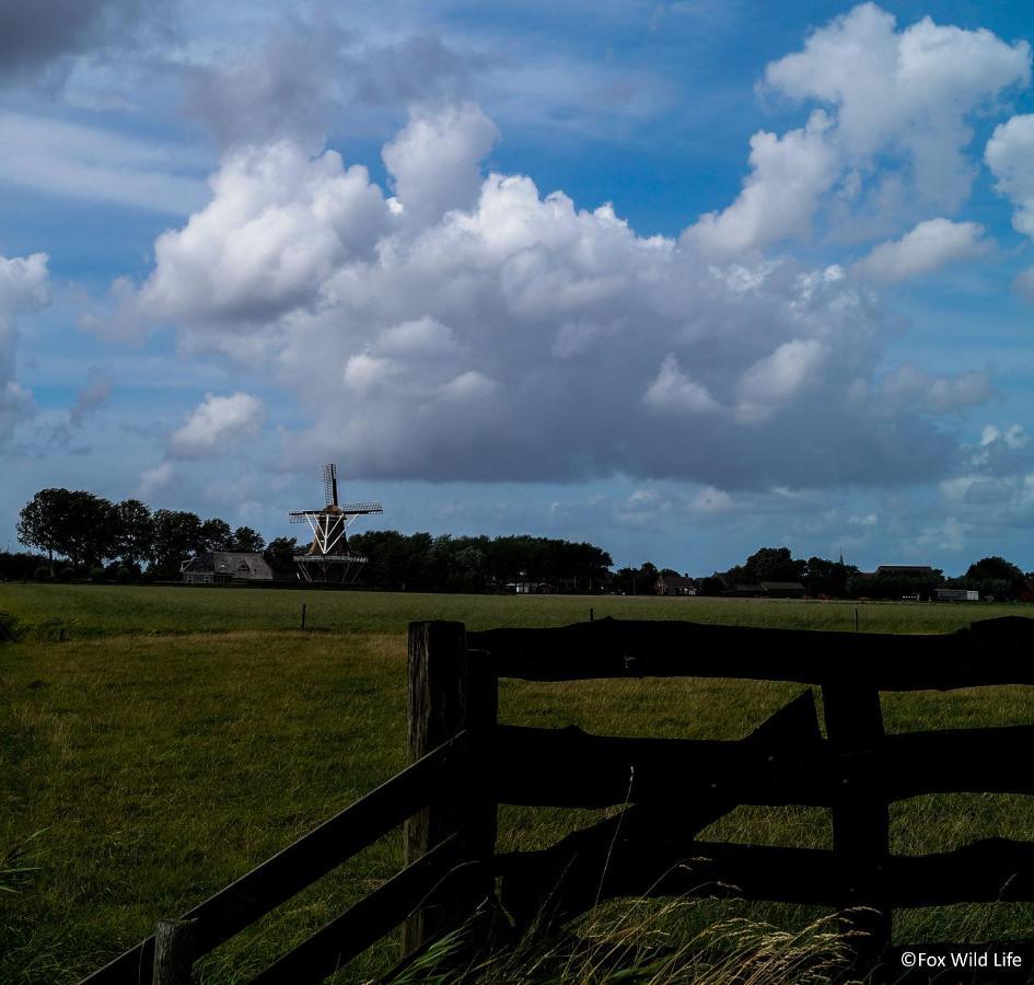 Bed and Breakfast The Wee White Hoose Oosternijkerk Exterior foto