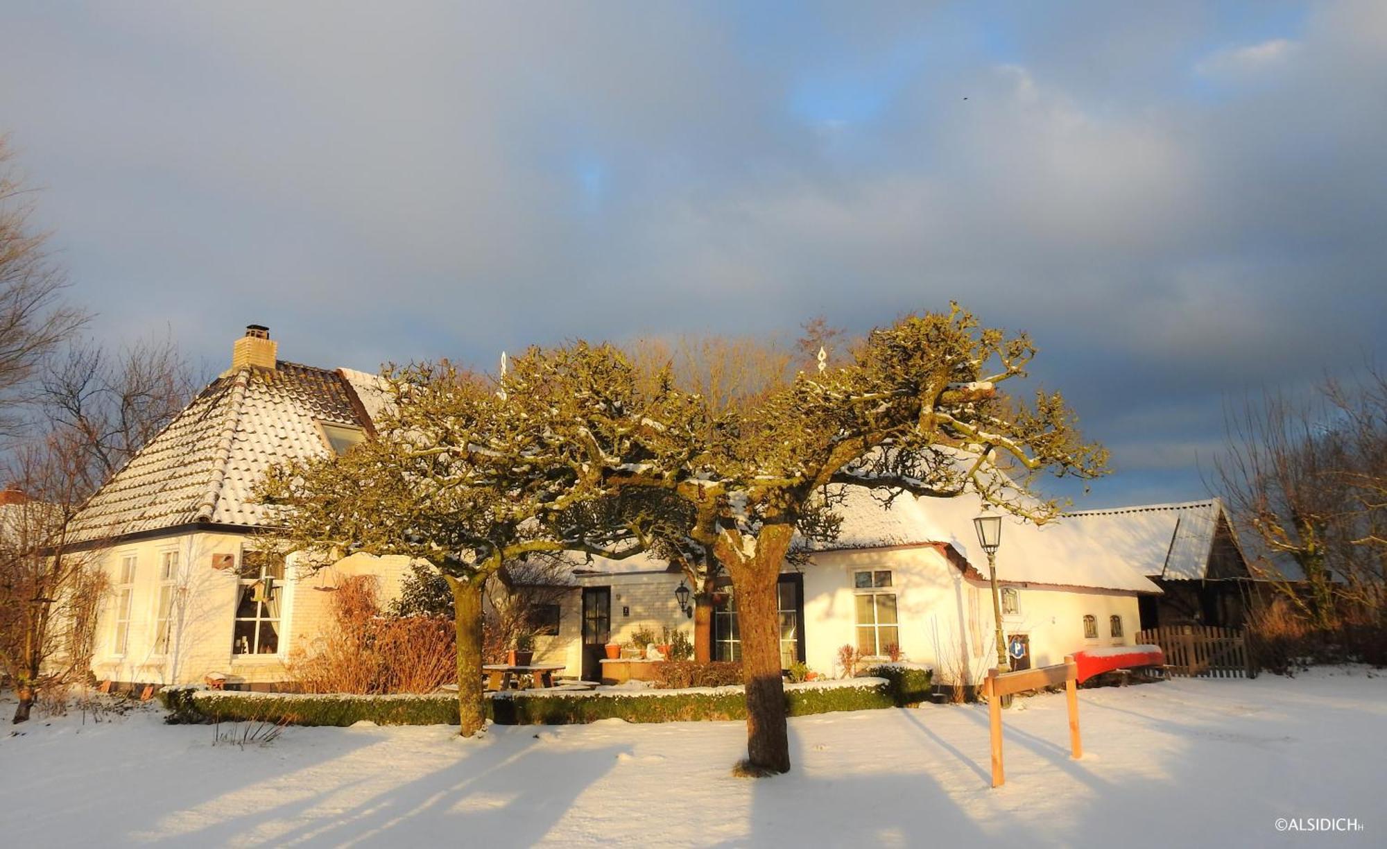 Bed and Breakfast The Wee White Hoose Oosternijkerk Exterior foto